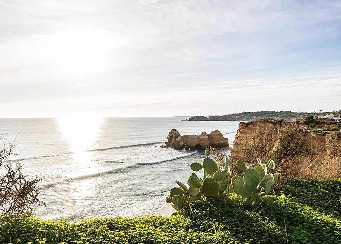 Golden Coast Apartment